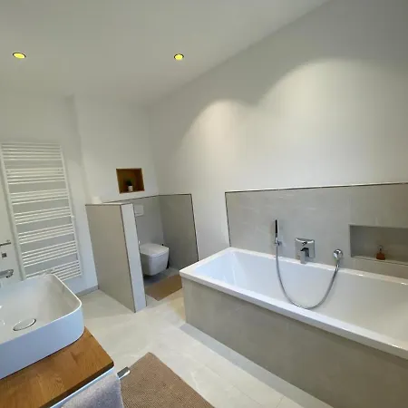 Panorama-paradies Im Rheinthal